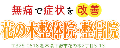 花の木整体院・整骨院
